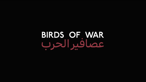 Trailer for Birds of War