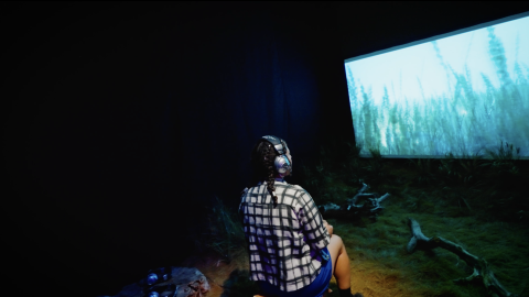 Check out the new immersive exhibition SENTIENTS at Undershed Gallery