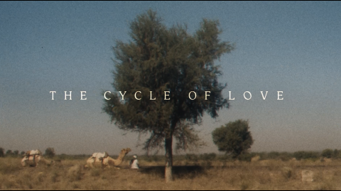 Trailer for The Cycle of Love