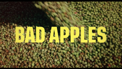 Trailer for Preview: Bad Apples