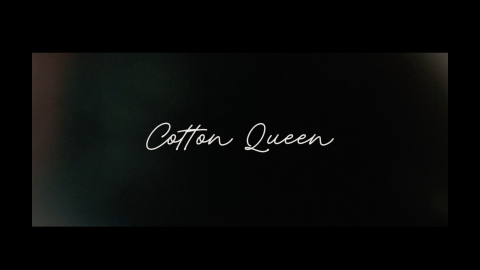 Trailer for Cotton Queen