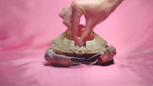 Image for Waste